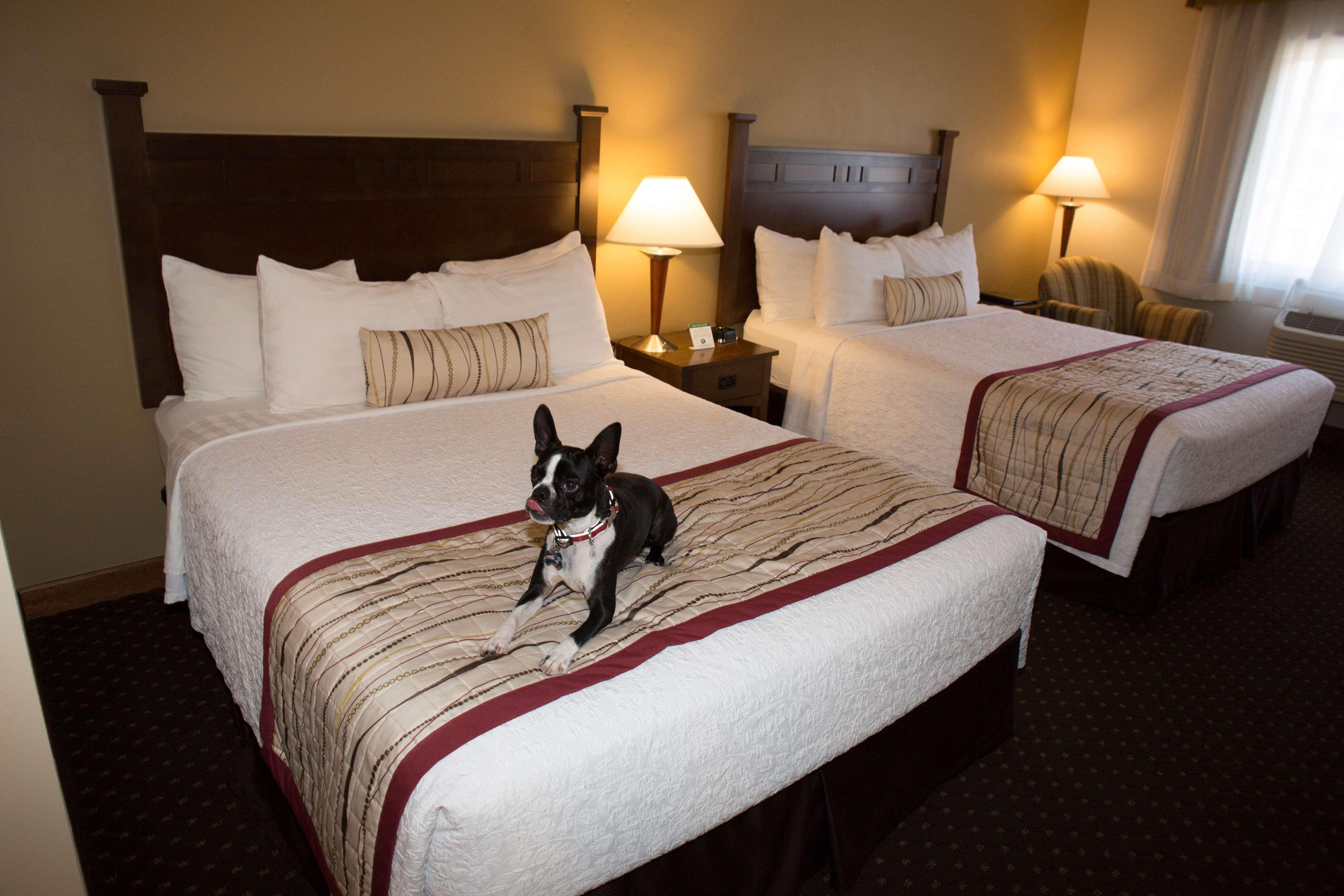 Best Western Desert Inn Запад Йеллоустон Экстерьер фото